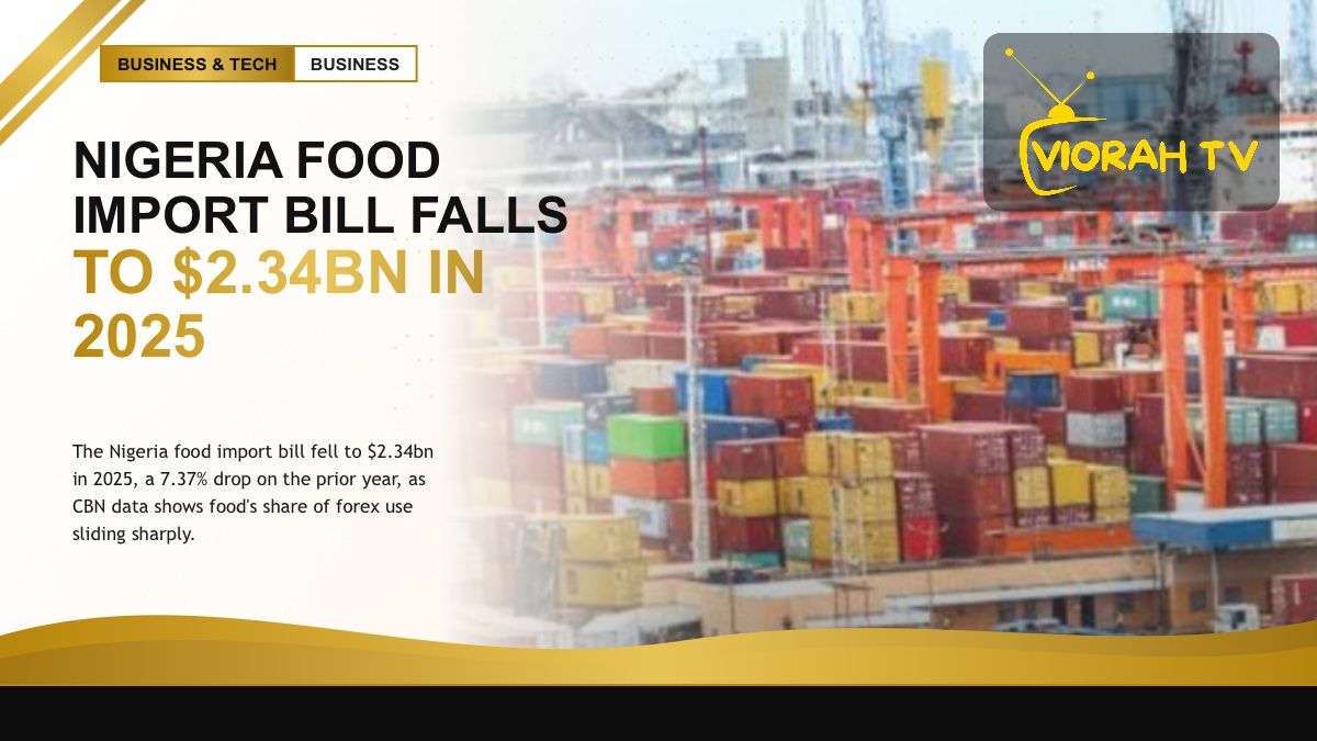Nigeria food import bill illustration showing imported food products at a port
