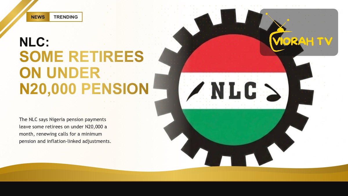 Elderly person reviewing documents illustrating Nigeria pension concerns raised by the NLC
