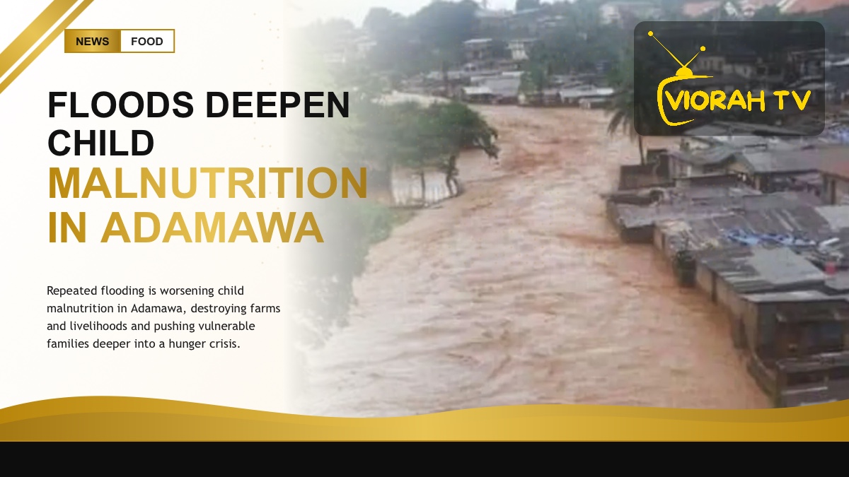 Flood-affected community in Adamawa where child malnutrition is rising