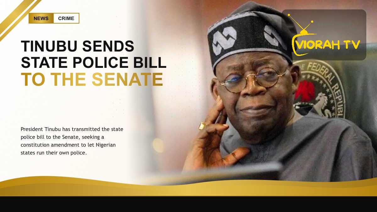 Nigerian Senate chamber where the state police bill was read