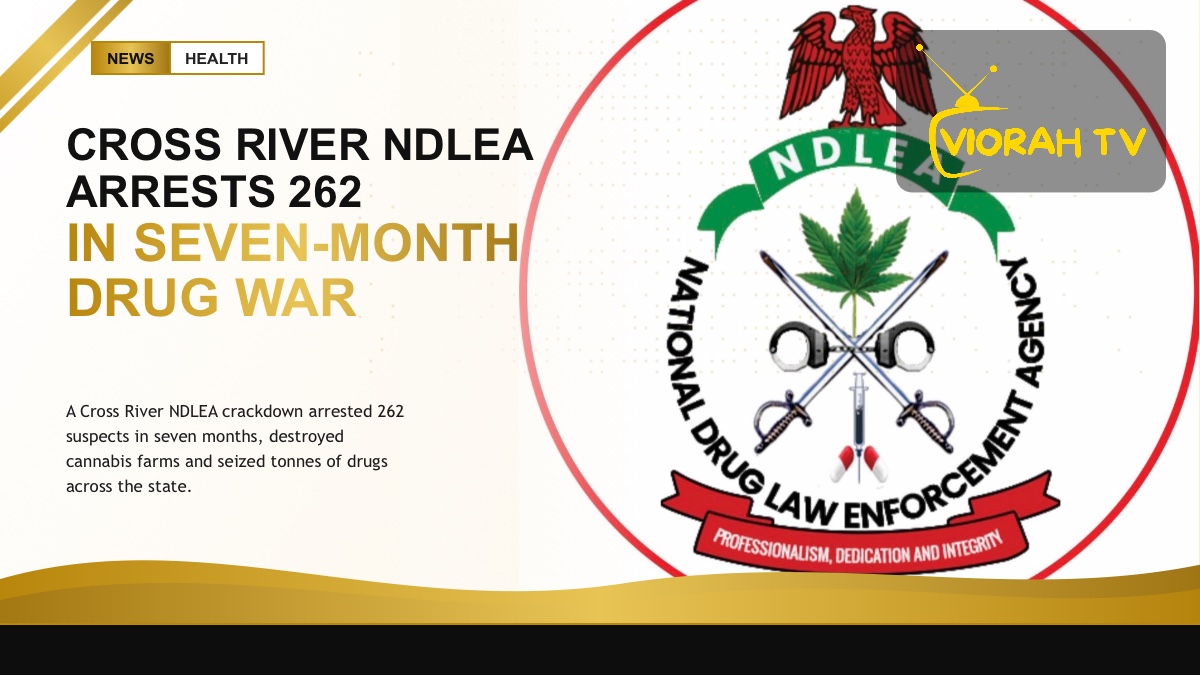 NDLEA officers destroy a cannabis farm during a Cross River NDLEA operation