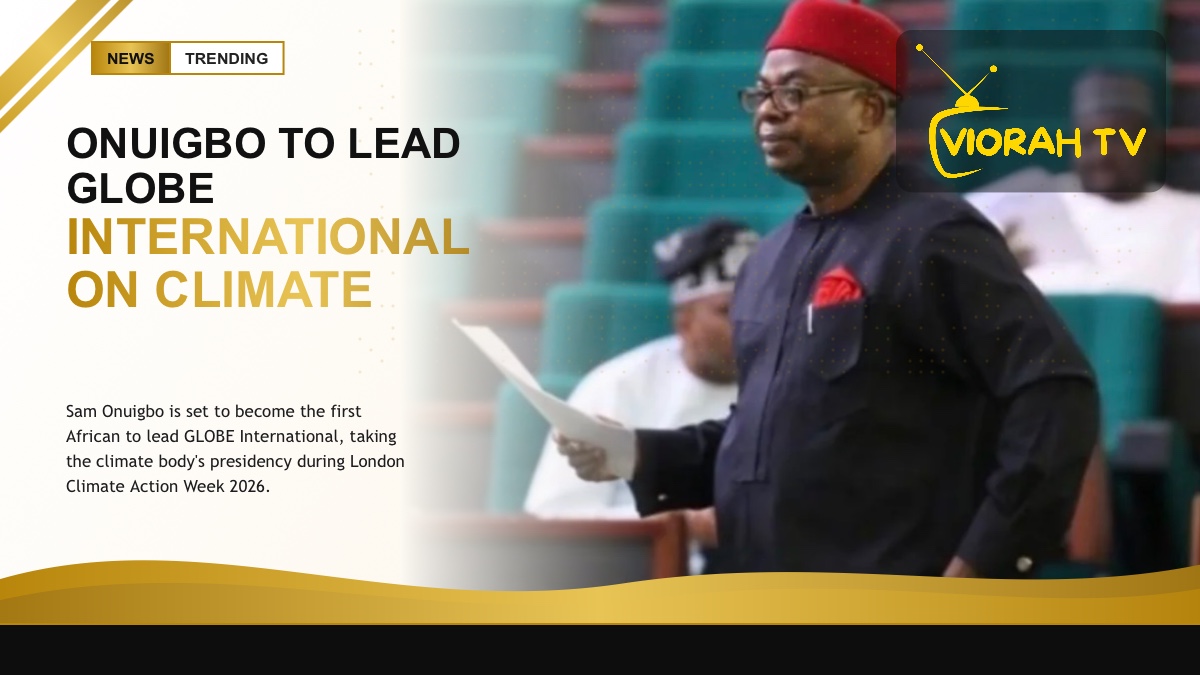 UK Parliament backdrop tied to Onuigbo leading GLOBE International