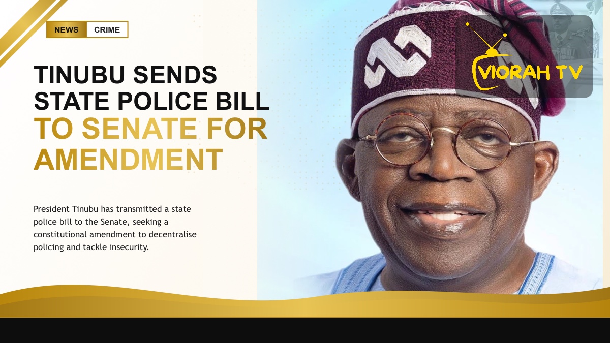 Nigerian flag and gavel representing the state police bill in the Senate