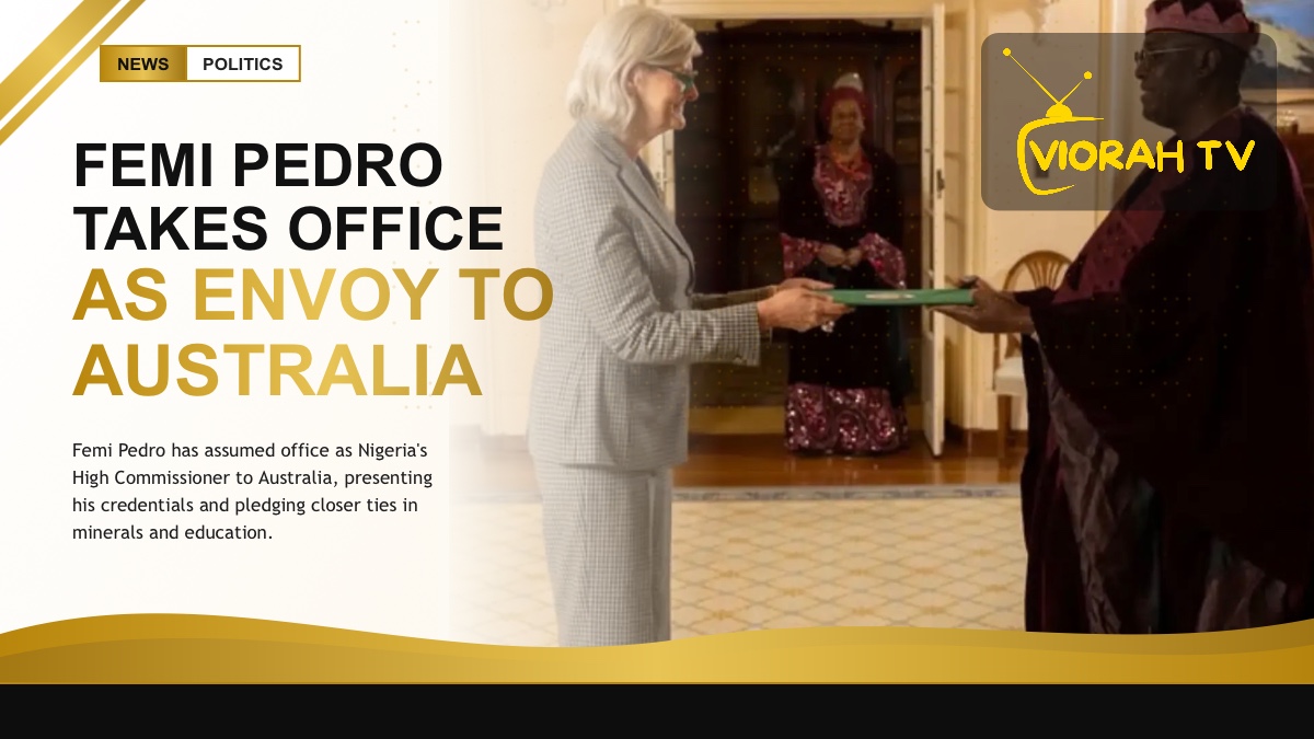 Diplomatic ceremony as Femi Pedro presents his credentials