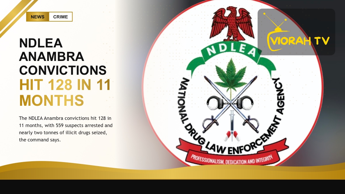 NDLEA officers display seized drugs as Anambra convictions reach 128