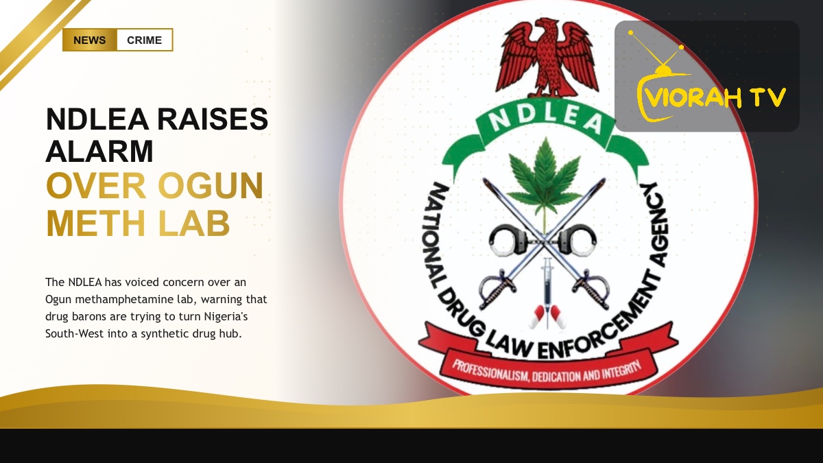 NDLEA officers inspecting seized chemicals from an Ogun methamphetamine lab in a forest