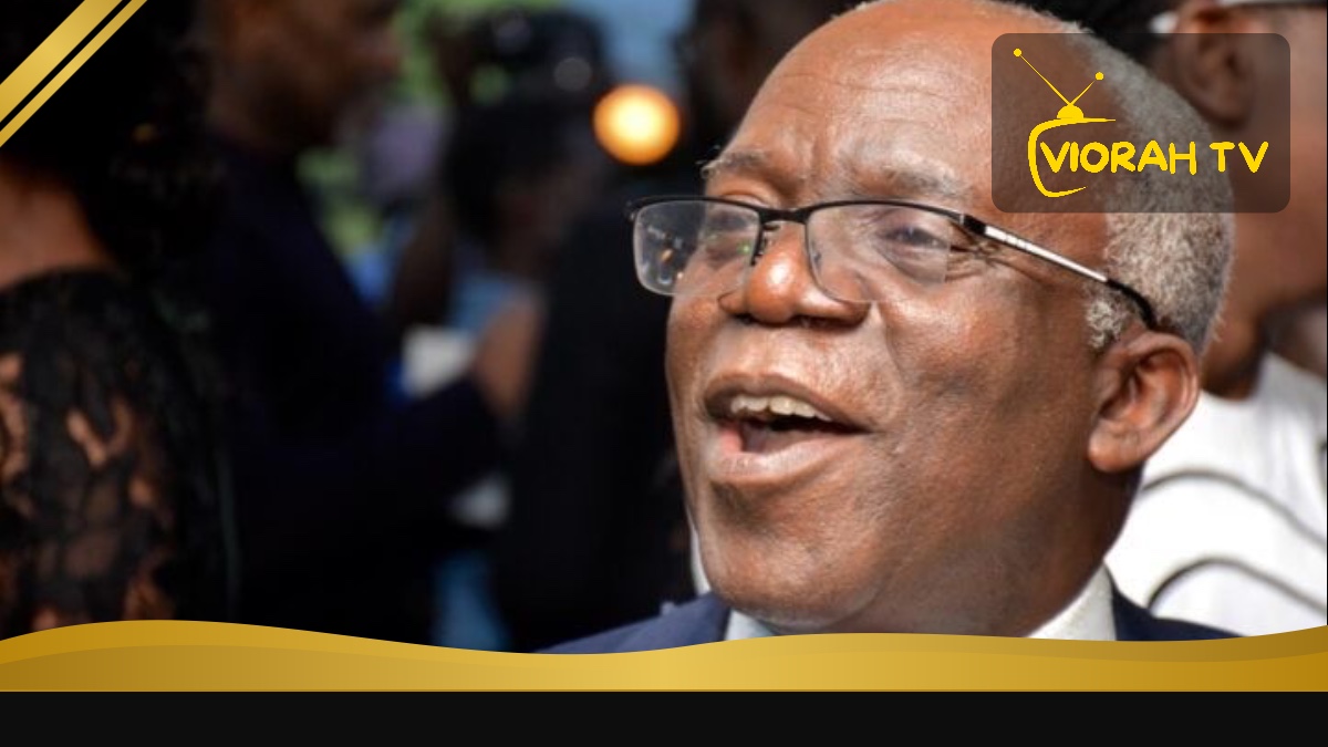 Femi Falana, Nigerian human-rights lawyer and Senior Advocate of Nigeria