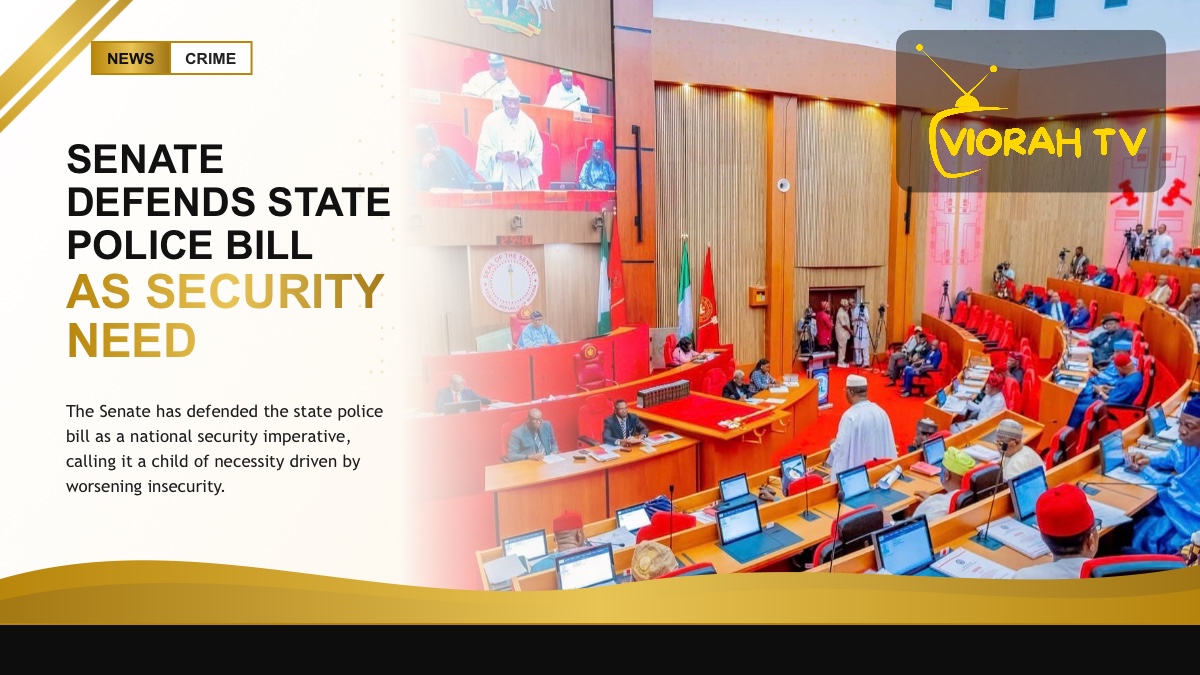 Nigerian Senate chamber where the state police bill was defended